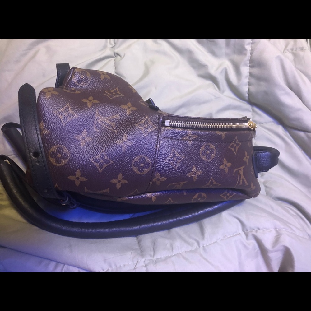 Luis Vuitton Backpack - Picture 6 of 6